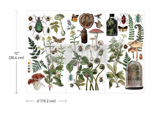 Botanical Archives Redesign with Prima Decor Small Transfer Q1 2025 Release