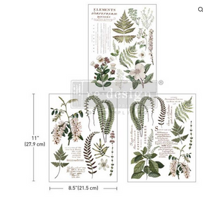 Greenery Grace- Redesign with Prima Decor Middy Transfer Q1 2025 Release